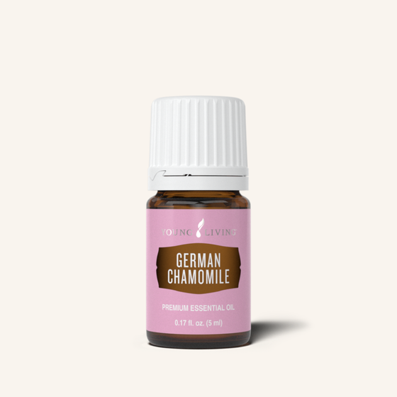 German Chamomile Essential Oil