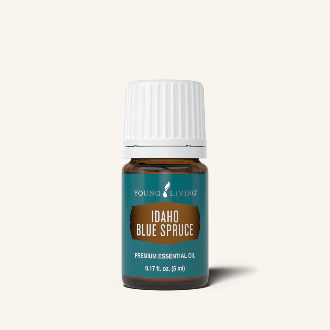 Idaho Blue Spruce Essential Oil