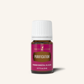 Purification Essential Oil Blend