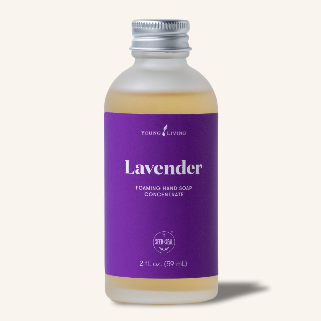 Lavender Foaming Hand Soap Concentrate