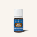 White Angelica Essential Oil Blend